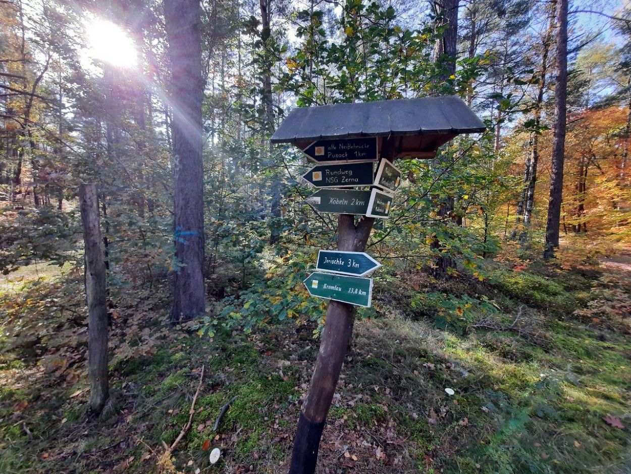 Stadt Forst (Lausitz) Wandern